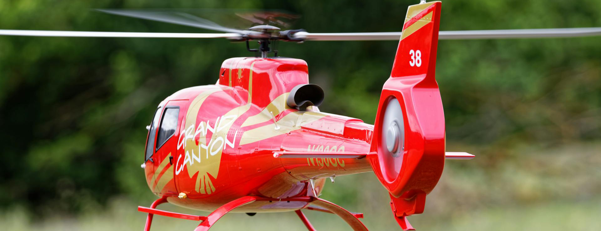 Siku 1 Siku -Siku pexels arnauld van wambeke 8658802